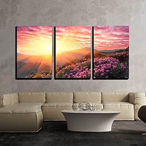 3 Piece Canvas Wall Art - Spring Landscape in Mountains with Flower of a Rhododendron and The Sky with Cloud - Modern Home Art Stretched and Framed Ready to Hang - 16"x24"x3 Panels