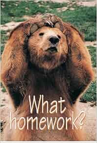 What homework bear poster 08 image