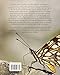 Butterflies of the World