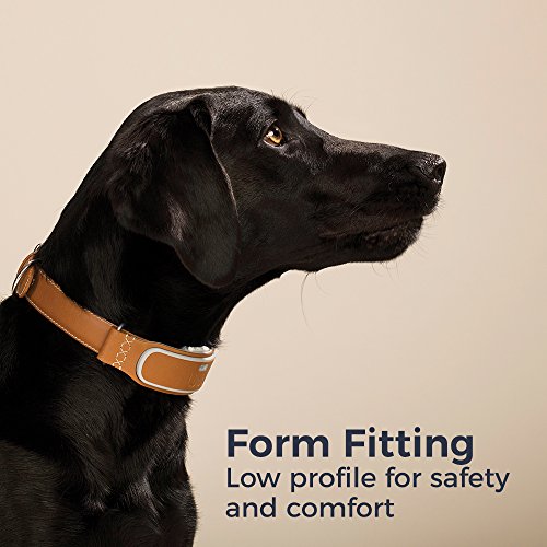 Link AKC Smart Dog Collar - GPS Location Tracker, Activity Monitor, and More, Leather Extra Small (KITTN05) - Thumbnail 2