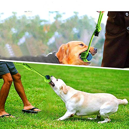 Dog Tough Rope Chewer Toys - Dog Tug of War Dog Indestructible Toy Teeth Cleaning for Aggressive Chewers Large Breed and Small Medium Breed - Washable Cotton Rope Dog Toy Set of 7