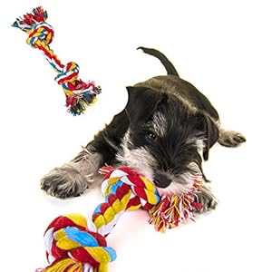 ziidoo Giochi Cane,12 Pezzi Giochi per Cani,Giocattoli di Corda Cane per Cani Grandi Giochi Cane Cucciolo ziidoo ziidoo Giochi Cane,12 Pezzi Giochi per Cani,Giocattoli di Corda Cane per Cani Grandi Giochi Cane Cucciolo