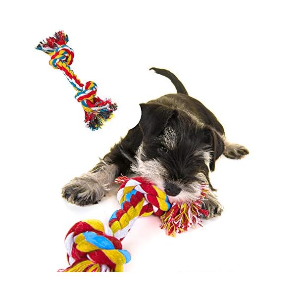 ziidoo Giochi Cane,12 Pezzi Giochi per Cani,Giocattoli di Corda Cane per Cani Grandi Giochi Cane Cucciolo ziidoo ziidoo Giochi Cane,12 Pezzi Giochi per Cani,Giocattoli di Corda Cane per Cani Grandi Giochi Cane Cucciolo