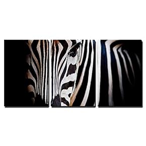 Burchell Zebra Headshot - 3 Panel Canvas Art
