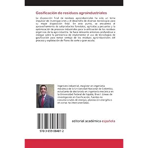 Gasificación de residuos agroindustriales (Spanish Edition)