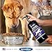 Best Paw Nutrition - Unflavored Liquid Glucosamine for Dogs & Cats - Chondroitin, MSM, Hyaluronic Acid - Dog Arthritis Home Remedy - Joint Supplement for Hip & Joint Pain Relief Pets Love - 32oz