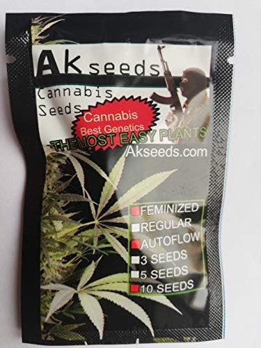 CROSO Seeds PACAKGE ONLY NOT Plants: Critical Russian Autoflowering (Seed)