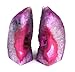 Crystal Allies Gallery: Pair of Small 1lb - 3lbs Polished Agate Geode Halves Bookends w/ Authentic Crystal Allies Stone Card (Pink)
