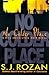 No Colder Place (Lydia Chin, Bill Smith Mystery)