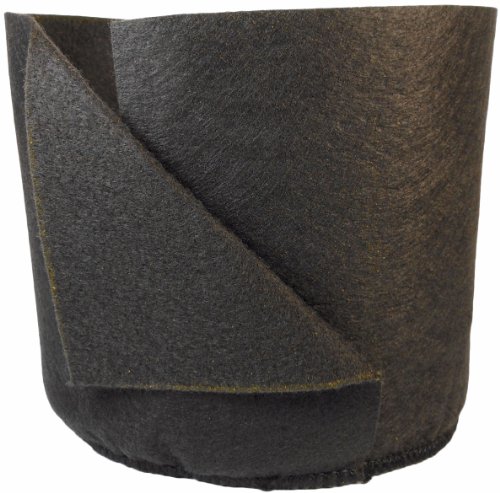 Smart Pots Soft-Sided Transplanter Plant Container, 1-Gallon, Black