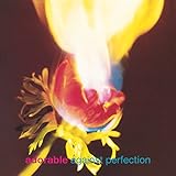 Against Perfection