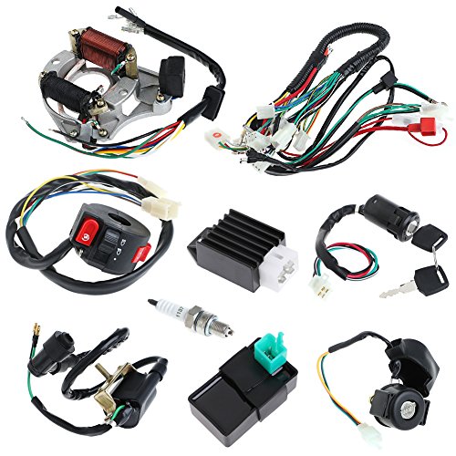Minireen Full Wiring Harness Loom kit CDI Coil Kick Start