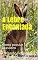 Livro A Lebre Encantada: Conto popular brasileiro
