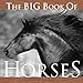 The Big Book of Horses by