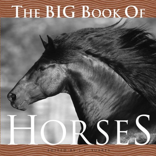 The Big Book of Horses by 