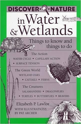 Discover Nature in Water & Wetlands: Things to Know and Things to Do (Discover Nature Series) Discover Nature in Water & Wetlands: Things to Know and Things to Do (Discover Nature Series)