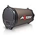 AXESS SPBT1032 Portable Bluetooth Indoor/Outdoor 2.1 Hi-Fi Cylinder Loud Speaker with Built-In 5.25
