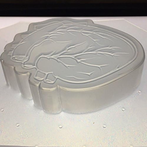Anatomical Heart Flexible Soap Bath Bomb or Orgone Mold