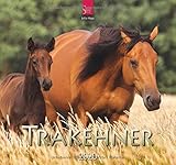 Trakehner 2020: Mittelformat-Kalender by 