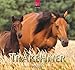 Trakehner 2020: Mittelformat-Kalender by 