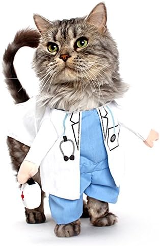 Alfie Pet by Petoga Couture - Kade the Doctor for Party Halloween Special Events Costume - Size: Medium