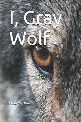 I, Gray Wolf I, Gray Wolf