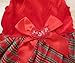 Tangpan Bow-Knot Christmas Pet Plaid Skirt Dog Clothes Santa Dress Size M
