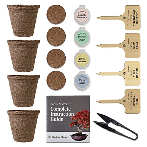 Planters' Choice Succulent & Cactus Growing Kit with Moisture Meter