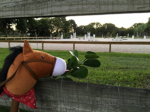 3 WALIKI+Stick+Horse+plush+toddlers