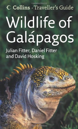 Wildlife of the Galapagos