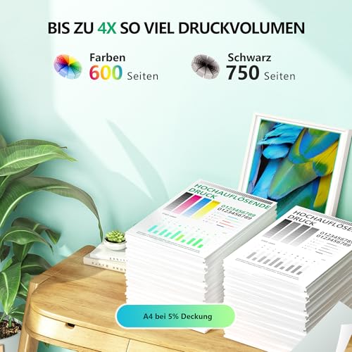 NewLift 560XL 561XL Ink Cartridges for Canon Printer Cartridges 560 561 PG-560XL CL-561XL for Canon Pixma TS5350i TS5350 TS5350a TS5351 TS5351a TS5351i TS5352 TS5352a TS5353 TS53353a 53a(Color 2-Pack)