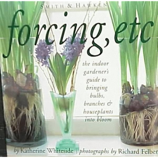 The Indoor Potted Bulb ~ Decorative Container Gardening with