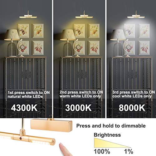 BIGLIGHT Wireless Battery Operated LED Picture Light with Remote