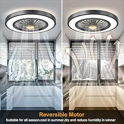 22'' Ceiling Fans with Lights and Remote, DC Motor