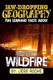 Jaw-Dropping Geography: Fun Learning Facts About Wicked Wildfires: Illustrated Fun Learning For Kids