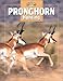Pronghorn Hunting (The Complete Hunter)