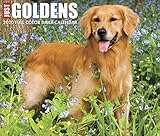 Just Goldens 2020 Box Calendar (Dog Breed Calendar) by