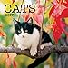 Turner Photo 2017 Cats Photo Mini Wall Calendar, 7 x 14 inches Opened (17998950002)