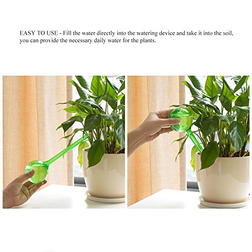 Giveme5 Pack of 3 Aqua Globes Small Plant Flower Automatic Self Watering PVC Bulbs Ball Garden Waterer Device Set (Transparent)