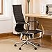 BELLEZE Minimalist Ribbed Executive Office Chair with Arms, High Back Soft Faux Leather Conference Task, Adjustable Height & Swivel Wheels - Aria (Black)