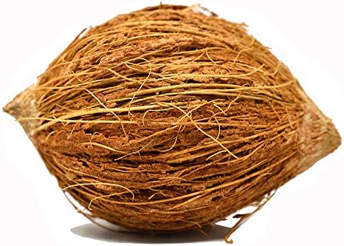 Devvrat Imitation Coconut Nariyal For Pooja Temple Small Size,{ 2" x 1" Inches }