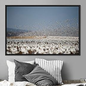 signwin Framed Canvas Wall Art Flying Together Birds...