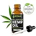 Hemp Oil Extract 2500mg - Helps with Healthy Sleep Patterns - Natural Pain Reliever - Supports Anxiety Reduction & Mood Support - No THC CBD Cannabidiol - Anti-Inflammatory - Rich in Omega Acids