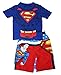 Superman Little Boys Toddler Swim Trunks and Rash Guard Shirt Set