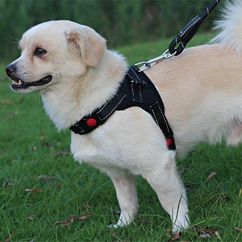 SHUANGWEI Dog Adjustable Vest Harnesses Safety with Handle Harnesses Outdoor Walking Chest Straps for Small Medium Large Dogs