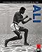 Ali: The Official Portrait of 