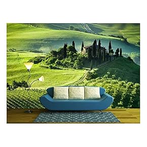 Beautiful Sunrise Over The Valley of Olive Groves and Vines - Removable Wall Mural | Self-Adhesive Large Wallpaper - 66x96 inches