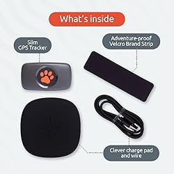 PitPat Dog GPS Tracker - No Subscription Fees