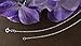 Italian Solid Sterling Silver Delicate Figaro 3+1 Chain, 24 Inches in Length, 1.3 mm Width