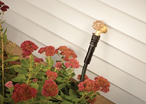 1 Rain+Bird+HT075BFFS+Irrigation+Preventer